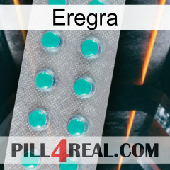 Eregra 28
